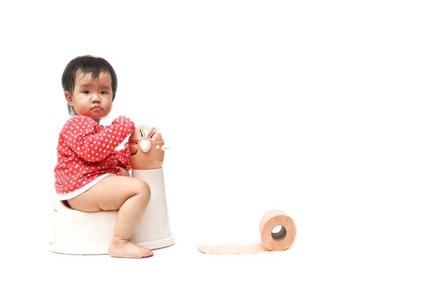 tahapan toilet training