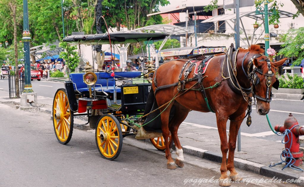 tujuan babymoon yogya